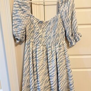 Blue and White Zebra Print Mini Dress